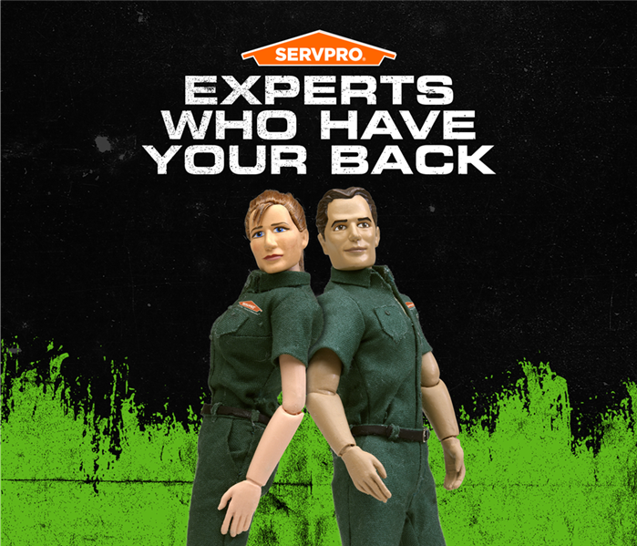 charaxters of servpro got your back